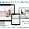 قالب واکنش گرا وردپرس Striking MultiFlex